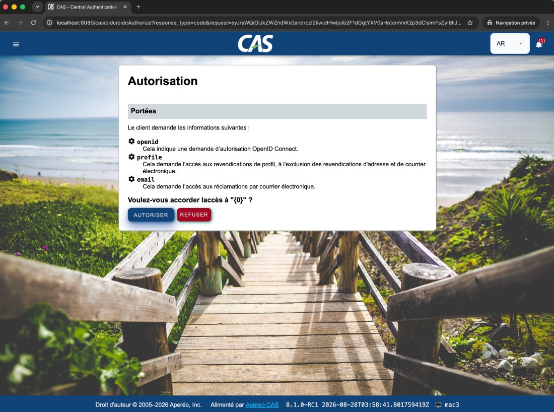 CAS authorization page